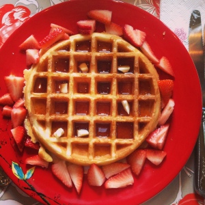 Homemade waffles with strawberries and maple syrup. I am one lucky puppy mommy!