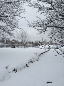 Beautiful but snowy, slushy and icy run through Wash Park.